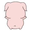 BABY PIG 9