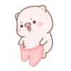 BABY PIG 10