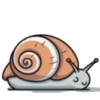 Caracoles 2 11