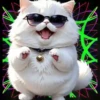 Gatito Blanco💞2🇵🇪Movi 5