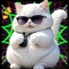 Gatito Blanco💞2🇵🇪Movi 6