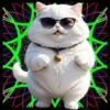 Gatito Blanco💞2🇵🇪Movi 7