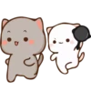 Love Cats 1 ❤️ 11