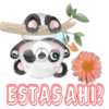 ESTAS AHI?