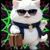 Gatito Blanco💞2🇵🇪Movi 9