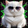 Gatito Blanco💞2🇵🇪Movi 10