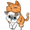 Gatinhos 1 8