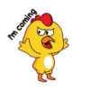 Chicken🐥Mov 11