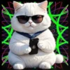 Gatito Blanco💞2🇵🇪Movi 12