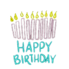 2 CuMpLeAÑoS ☆ HaPpY BiRtHdAy 11