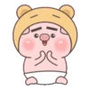 BABY PIG 14