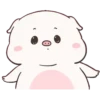 BABY PIG 15