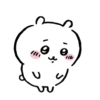 🧿chiikawa🐻‍❄️🐻🔆🐱 17
