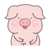 BABY PIG 16