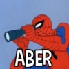 EL HOMBRE K ARAÑA MOV 11