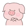 BABY PIG 17