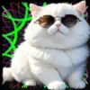 Gatito Blanco💞2🇵🇪Movi 15