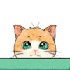 Gatinhos 1 10