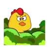 Chicken🐥Mov 13