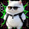 Gatito Blanco💞2🇵🇪Movi 17