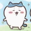 🧿chiikawa 3🐰🐻‍❄️🐻🐱 13