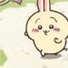 🧿chiikawa  5🐰🐻‍❄️🐻 8