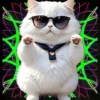 Gatito Blanco💞2🇵🇪Movi 19