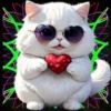 Gatito Blanco💞2🇵🇪Movi 20