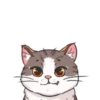 Gatinhos 1 11