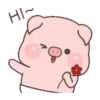 BABY PIG 18