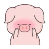 BABY PIG 19