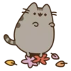 Animated Pusheen 5