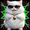Gatito Blanco💞2🇵🇪Movi 21