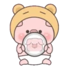 BABY PIG 20