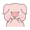 BABY PIG 21