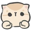 meowi 2 mov 12