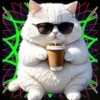 Gatito Blanco💞2🇵🇪Movi 22
