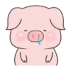 BABY PIG 23