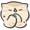 meowi 2 mov 14