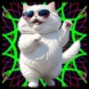 Gatito Blanco💞2🇵🇪Movi 23