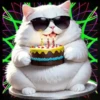 Gatito Blanco💞2🇵🇪Movi 25