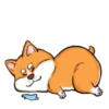 Gatinhos 1 14