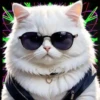 Gatito Blanco💞2🇵🇪Movi 26