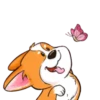 Gatinhos 1 15