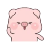 BABY PIG 25