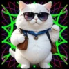 Gatito Blanco💞2🇵🇪Movi 27