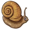 Caracoles 2 27