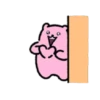 🧿Osito Bear pink🐻🩷 22