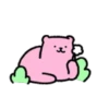 🧿Osito Bear pink🐻🩷 23