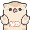 meowi 2 mov 16